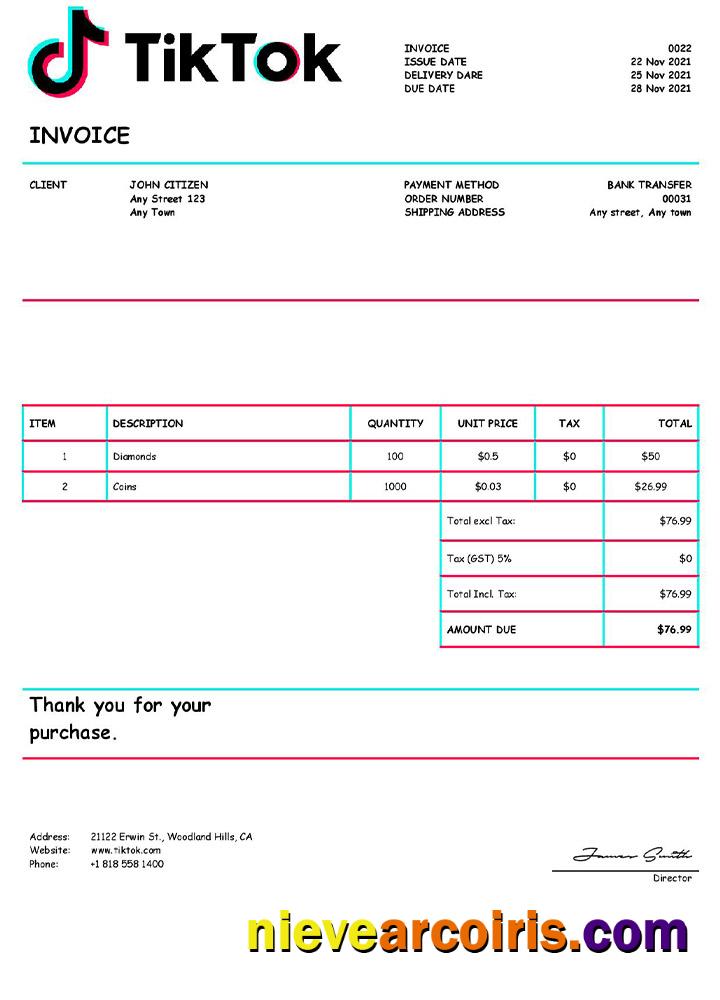 USA Tik Tok invoice